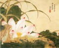 Xiesun lotus traditionnelle
